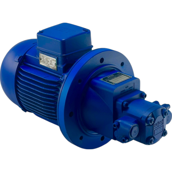 Агрегат насосный (шестеренный) RZM1,35/2,5 REBS ITALY