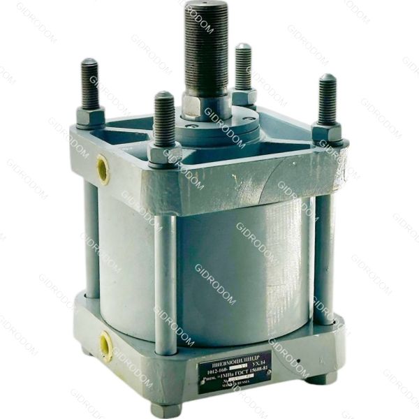 Пневмоцилиндр 1012-032*100