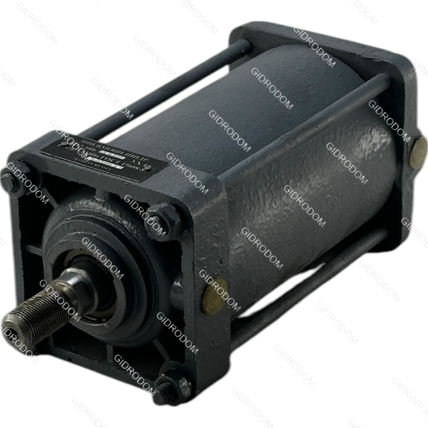 Пневмоцилиндр 1412-100*100