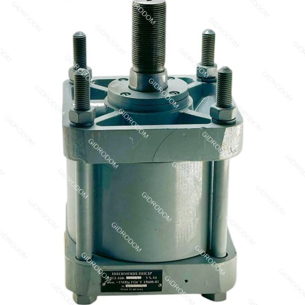 Пневмоцилиндр 1012-032*100