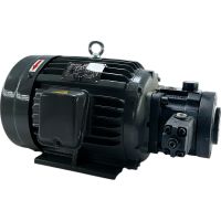 Насос пластинчатый регулируемый VCM-SF-40D-10