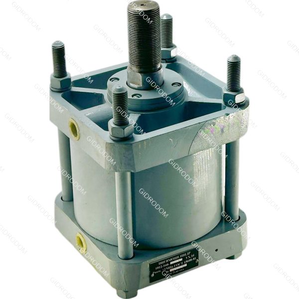 Пневмоцилиндр 1012-032*100