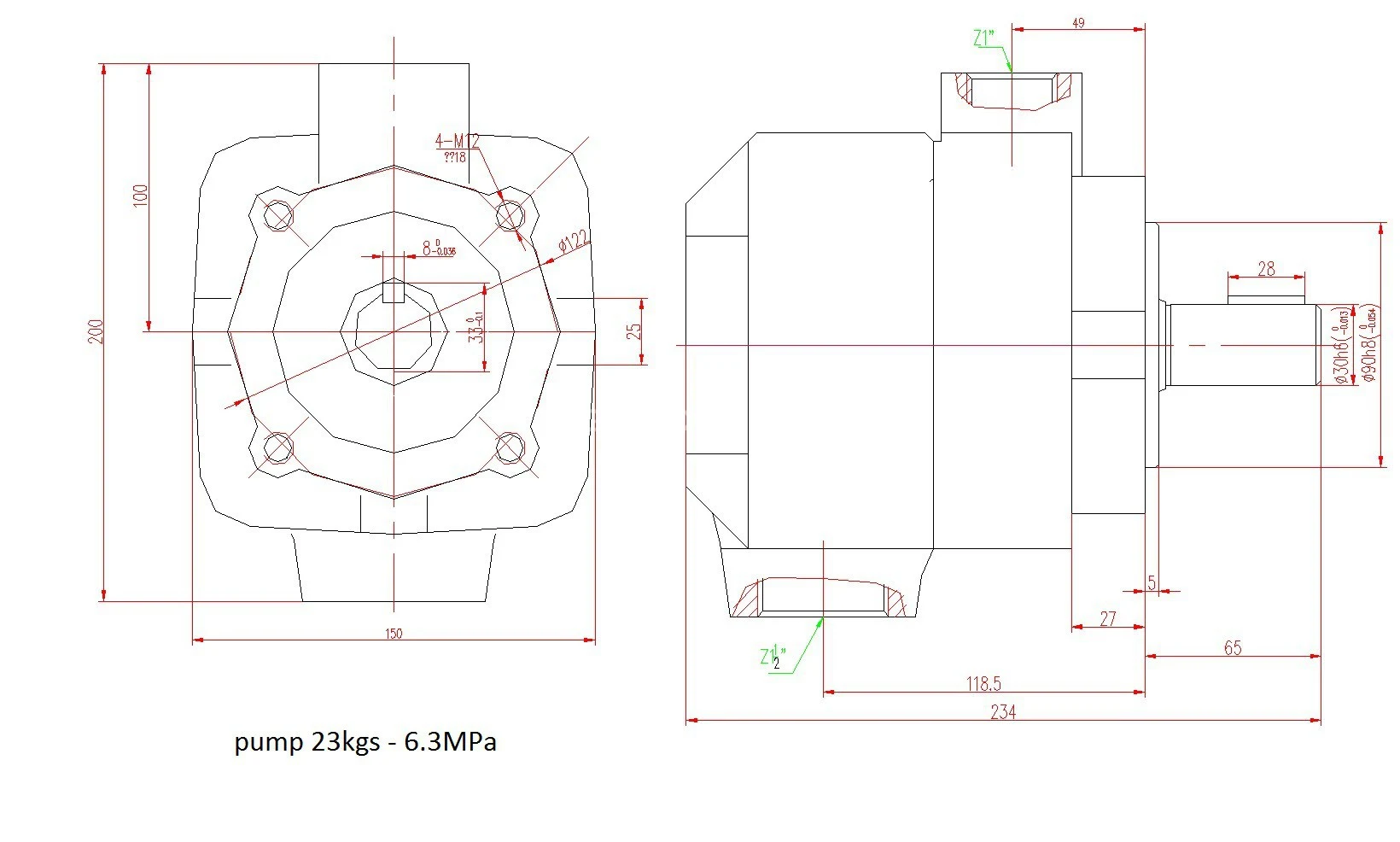 Title 1, пластинчатый насос НПл 125/6,3 (YB-D 100R)